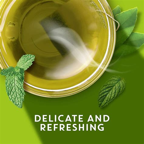 Tazo Zen Tea 1.5 Oz - Calming Green Tea Blend | Buy Now with Express ...