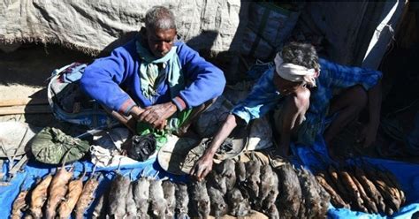 Forget Chicken Or Mutton, This Village In Assam Sells Boiled Or ...