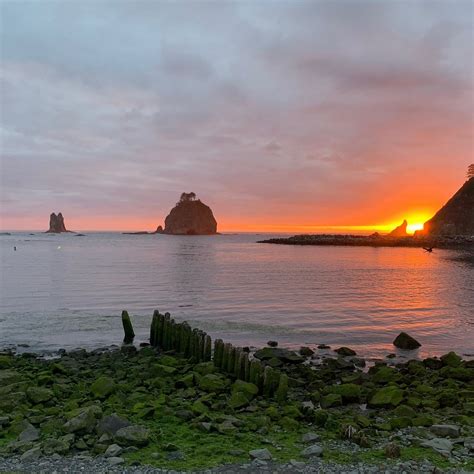 QUILEUTE INDIAN RESERVATION (2025) All You Need to Know BEFORE You Go ...