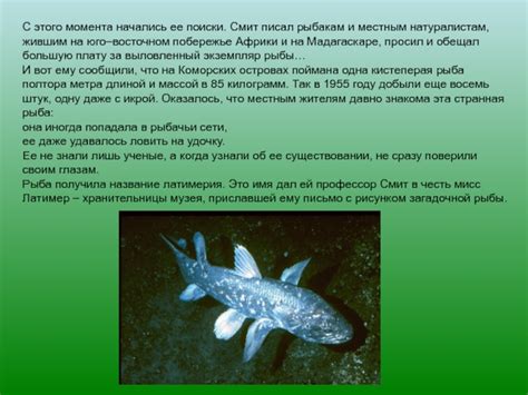 Кистеперые рыбы