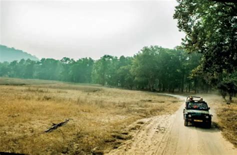 Wildlife Destinations Special: Create your own 'Jungle Book' moments ...