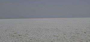GREAT RANN OF KUTCH (2026) All You Need to Know BEFORE You Go (with ...