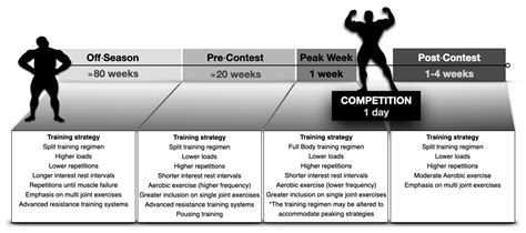 Image result for Hypertrophy Training Program Flow High Performance