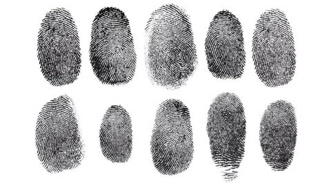 Image result for Fingerprint Patterns Worksheet