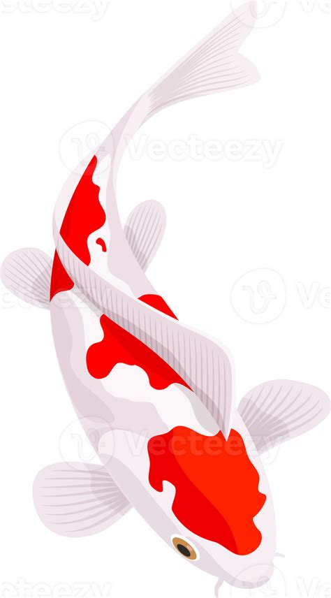 Koi carp fish 19053825 PNG