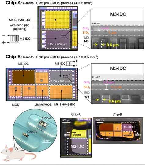 Neural Interface 的图像结果