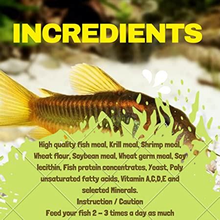 Aquatic Remedies Gene Eleven Bottom Tablet Feeder, 60G (30G * Pack of ...