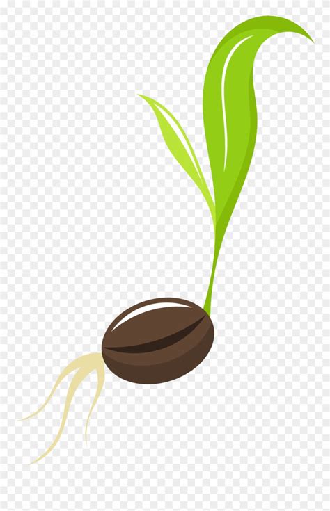 clip art seed 20 free Cliparts | Download images on Clipground 2025