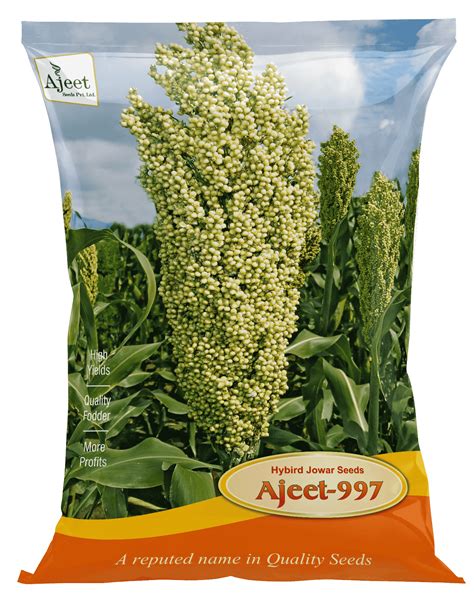 Ajeet Seeds || Product Detail