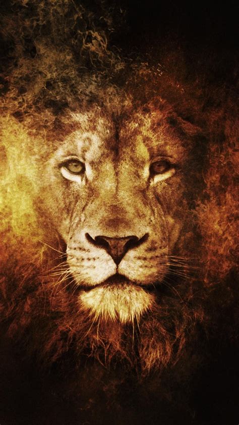 Lion Phone Wallpapers - Top Free Lion Phone Backgrounds - WallpaperAccess