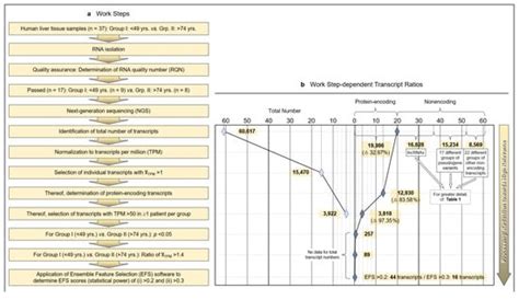 Transcriptome-Wide Analysis of Human Liver Reveals Age-Related ...