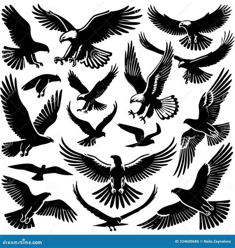 Vector Black Silhouettes of Eagles and Other Birds in Different Flying Positions. Collection ...