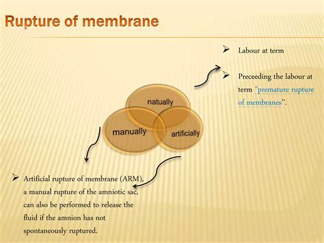 Amniotic fluid ppt | PPTX