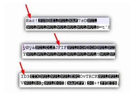 How Retrieve Chk Files 的图像结果