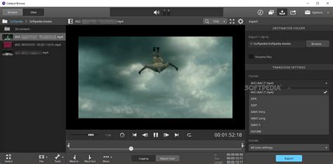 Catalyst Browse Tutorial 的图像结果