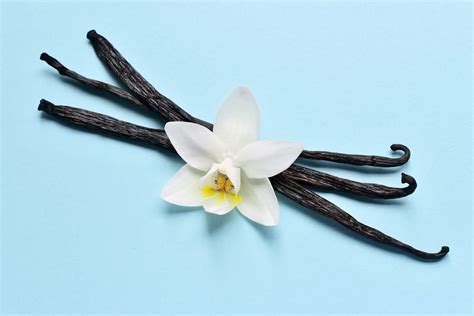Where Does Vanilla Flavoring Come From? Vanilla Extract's History