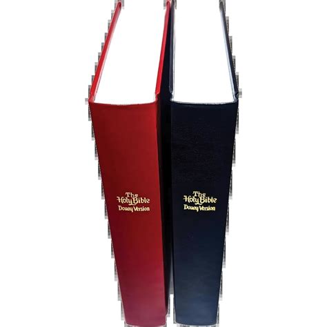 Image result for Douay-Rheims Bible Cover