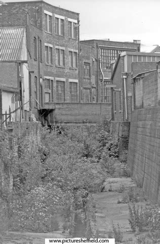 Searching Picture Sheffield