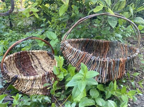 Image result for Basket Weaving Tutorial