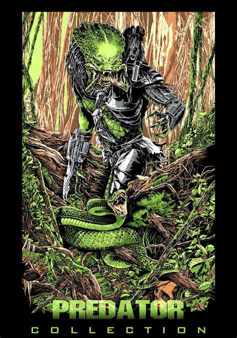 Image result for Predator Collection