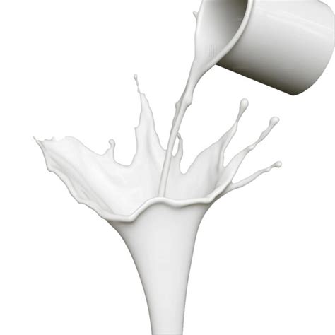 Milk Processing Steps 的图像结果