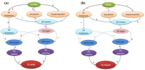 Observed Methane Uptake and Emissions at the Ecosystem Scale and ...