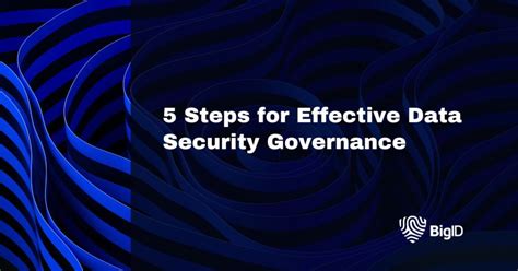 Data Security Governance 的图像结果