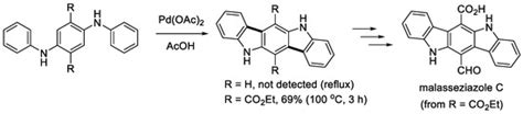 Construction of Benzo-Fused Polycyclic Heteroaromatic Compounds through ...