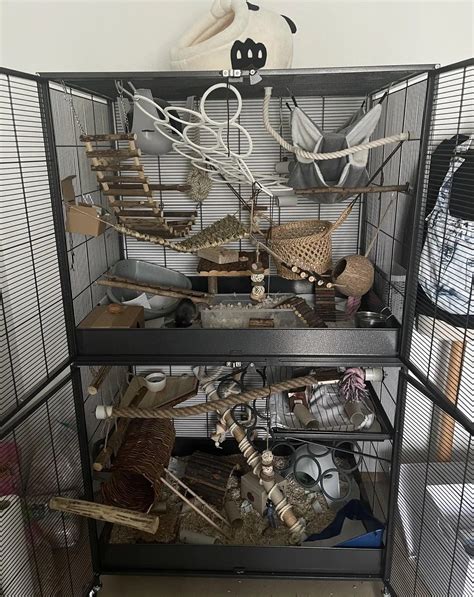 Pin by Rattie Ropes on Rat Cage Inspiration | Pet rat cages, Pet rats ...