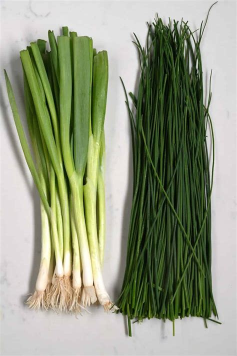 Chives Vs Green Onions: What's the Difference? - Alphafoodie