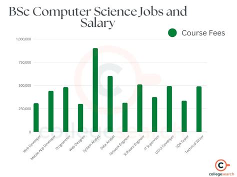 BSc Computer Science Salary In India