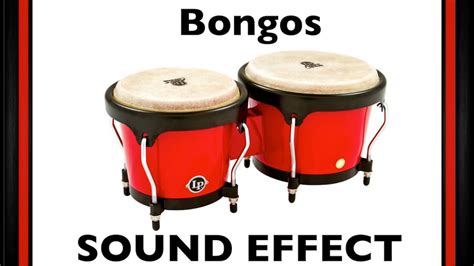 Image result for Conga Backing Tracks