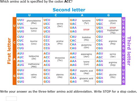 Image result for Codon Chart Reading