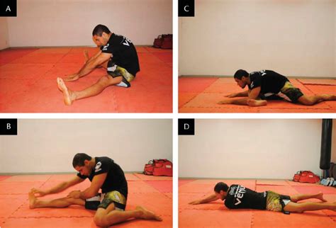 Image result for Static Stretching Exercises