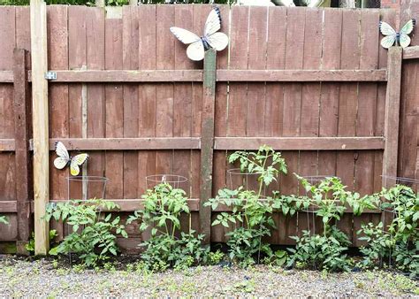 28 Inexpensive Privacy Fence Ideas for Your Yard