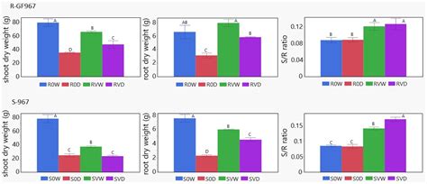 Tomato Yellow Leaf Curl Virus (TYLCV) Promotes Plant Tolerance to Drought