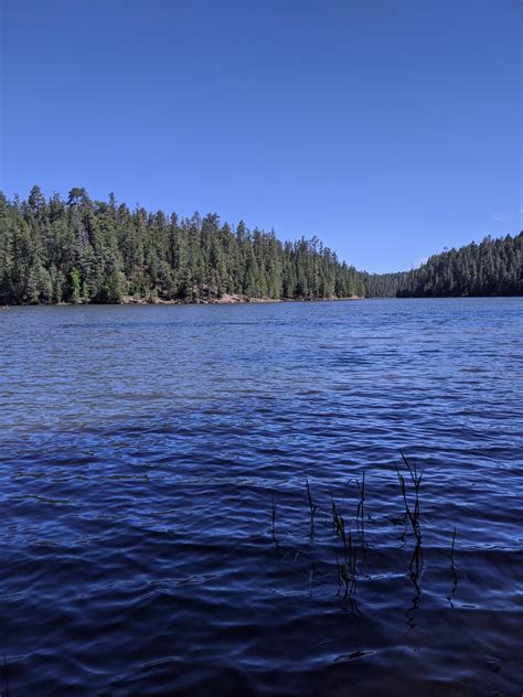Bear Canyon Lake, AZ : r/camping