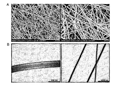 Electrospun Nano-Fiber Scaffold for Repair of Skin Lesions | IITBombay