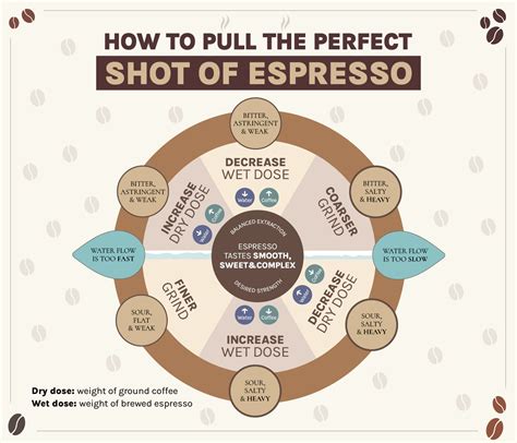 Espresso Extraction Charts: How to Pull the Best Shot! | Corner Coffee Store