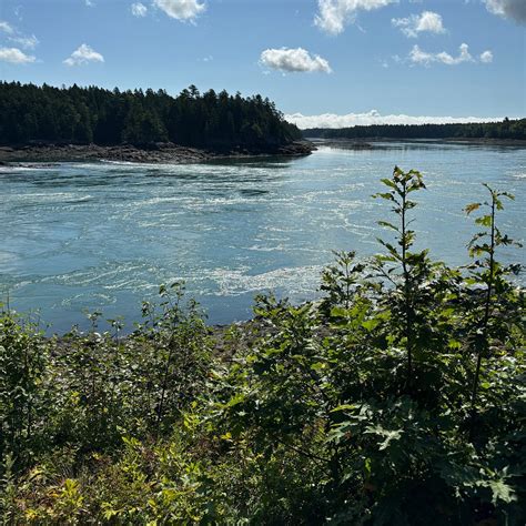 REVERSING FALLS PARK (2026) All You Need to Know BEFORE You Go (with ...