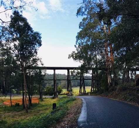 WAIREWA TRESTLE RAIL BRIDGE (2025) All You Need to Know BEFORE You Go ...