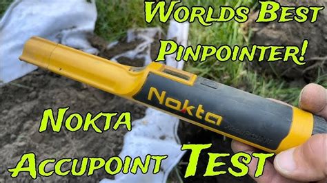 Image result for Pinpointer Im Test