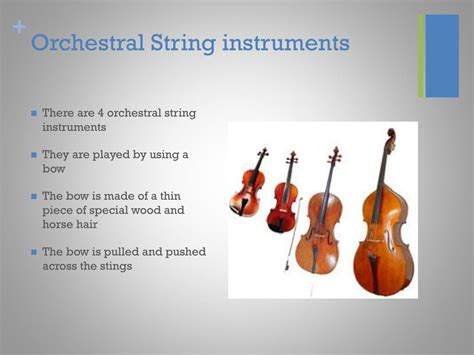 Image result for Sounds of String Instruments