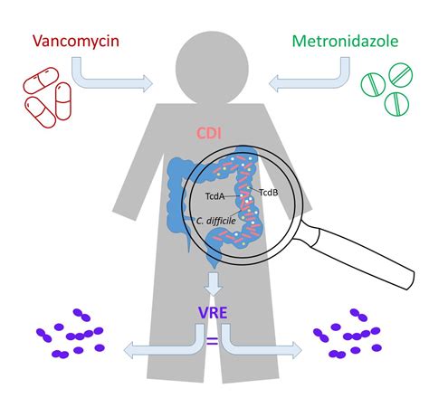 C Difficile Vancomycin