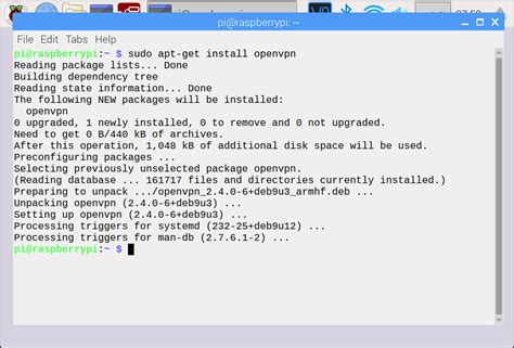 Raspberry Pi OpenVPN Client 的图像结果