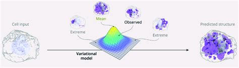 Probabilistic System 的图像结果