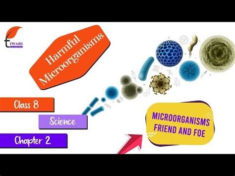 Class 8th Lesson 2 Science 的图像结果