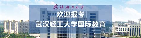 百名中国政府奖学金学生“感知中国”系列活动成功举办-武汉大学国际教育学院