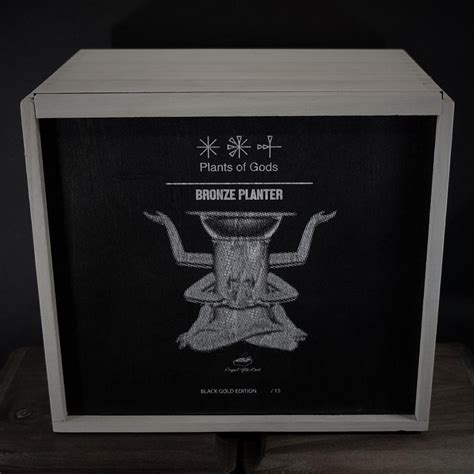 Plants of Gods Bronze Planter (Black Gold Limited Edition) - plants of gods