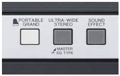 Yamaha PSR-E243 Portable Keyboard: Amazon.in: Musical Instruments